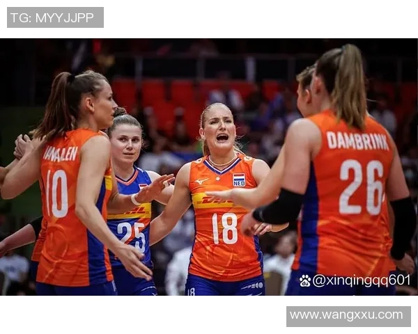 世锦赛女排精彩对决回顾荷兰队表现引人瞩目录像分享