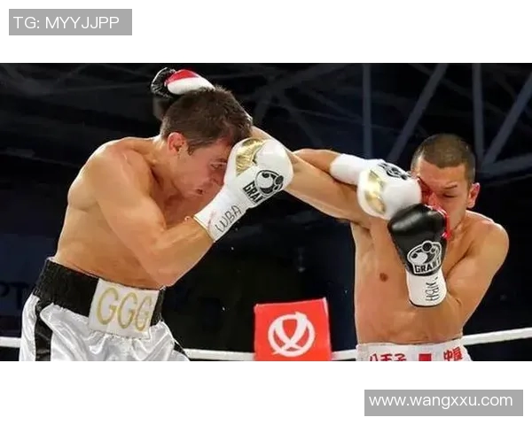 卡利杰与斯霍拉的巅峰对决谁将成为新一代拳坛霸主