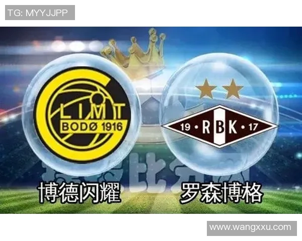 热刺与不莱梅激战正酣双方争夺胜利的关键时刻解析